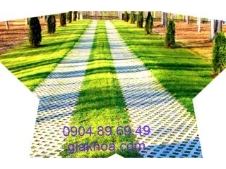 Gạch trồng cỏ chất lượng cao